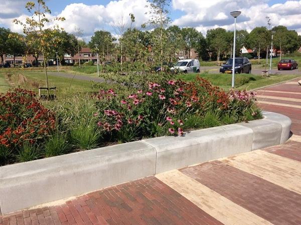 parkbandenbredeschoolsteenwijk102